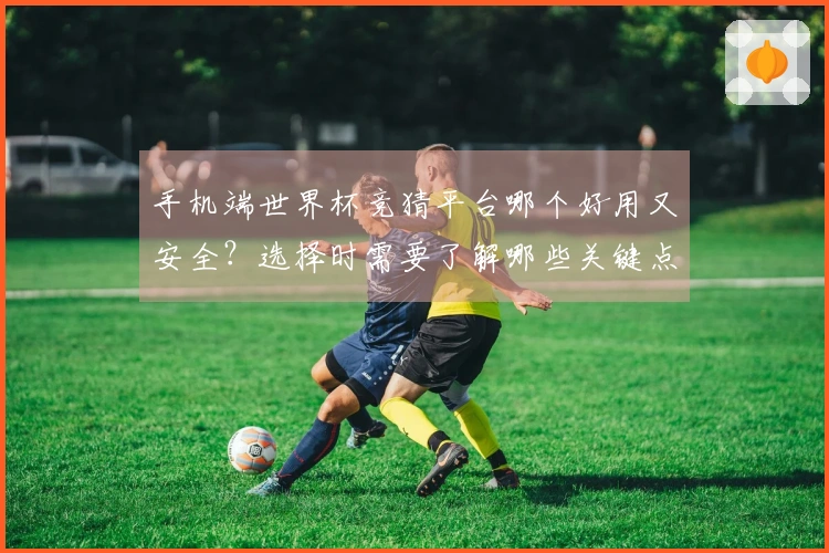 手机端世界杯竞猜平台哪个好用又安全？选择时需要了解哪些关键点