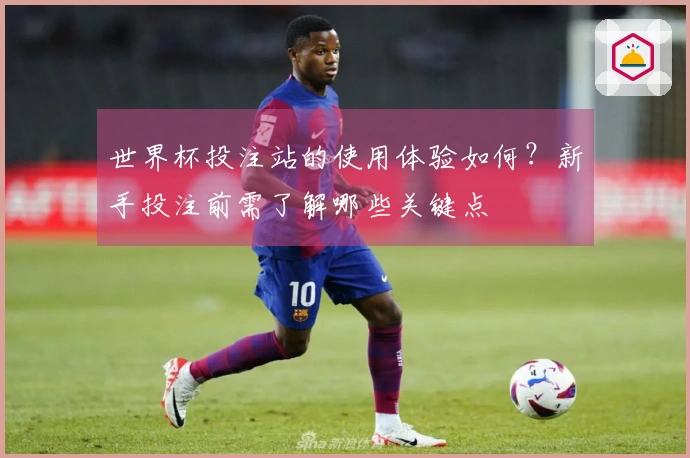 世界杯投注站的使用体验如何？新手投注前需了解哪些关键点