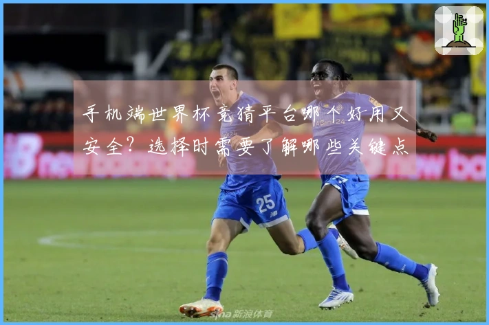 手机端世界杯竞猜平台哪个好用又安全？选择时需要了解哪些关键点