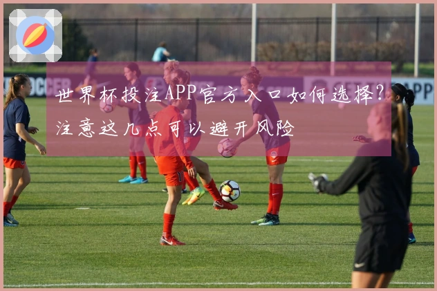 世界杯投注APP官方入口如何选择？注意这几点可以避开风险