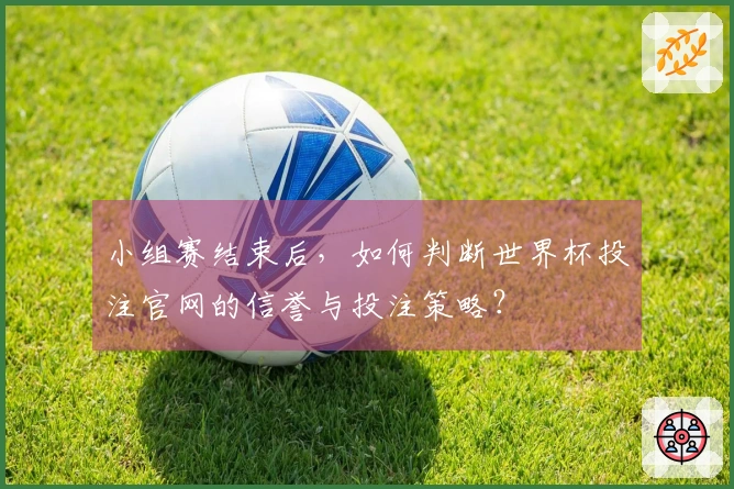 小组赛结束后，如何判断世界杯投注官网的信誉与投注策略？